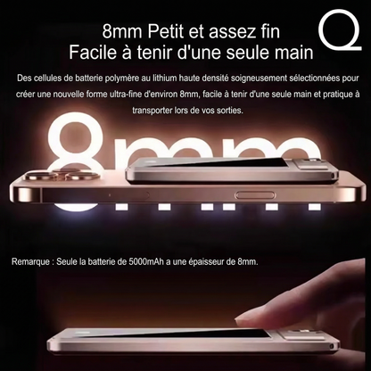 Batterie externe Quantabag